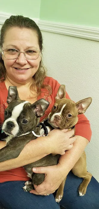 Robinson Animal Hospital 4