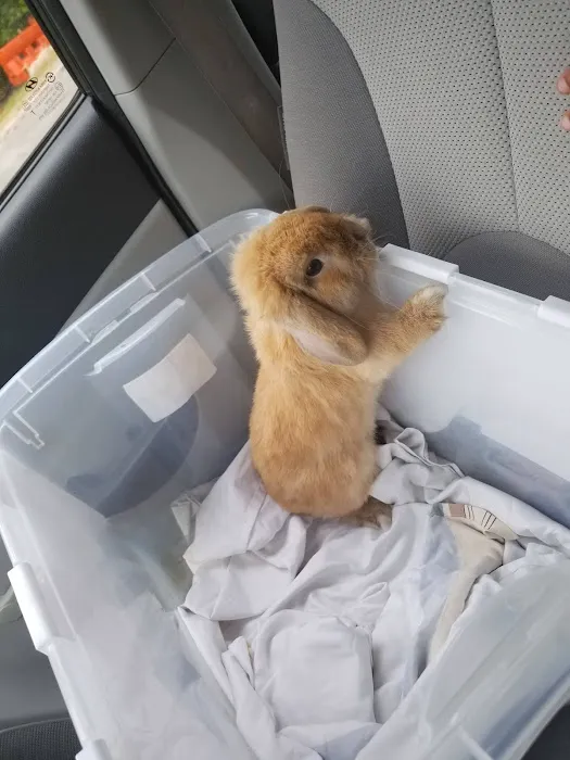 Robinson Animal Hospital 3