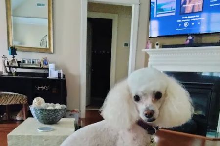 Robinson Animal Hospital