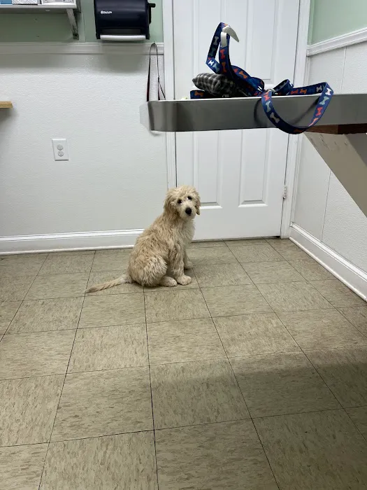 Robinson Animal Hospital 6