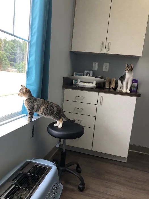 Stonewater Veterinary Hospital 12