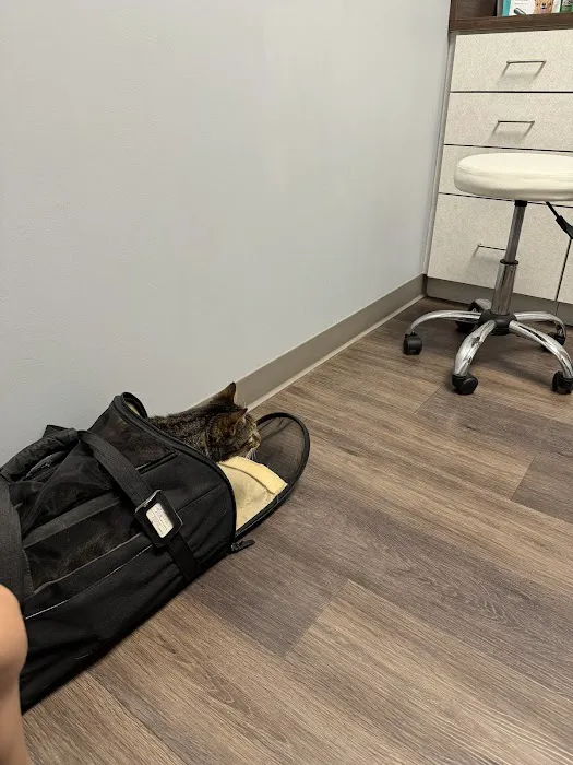 Stonewater Veterinary Hospital 12