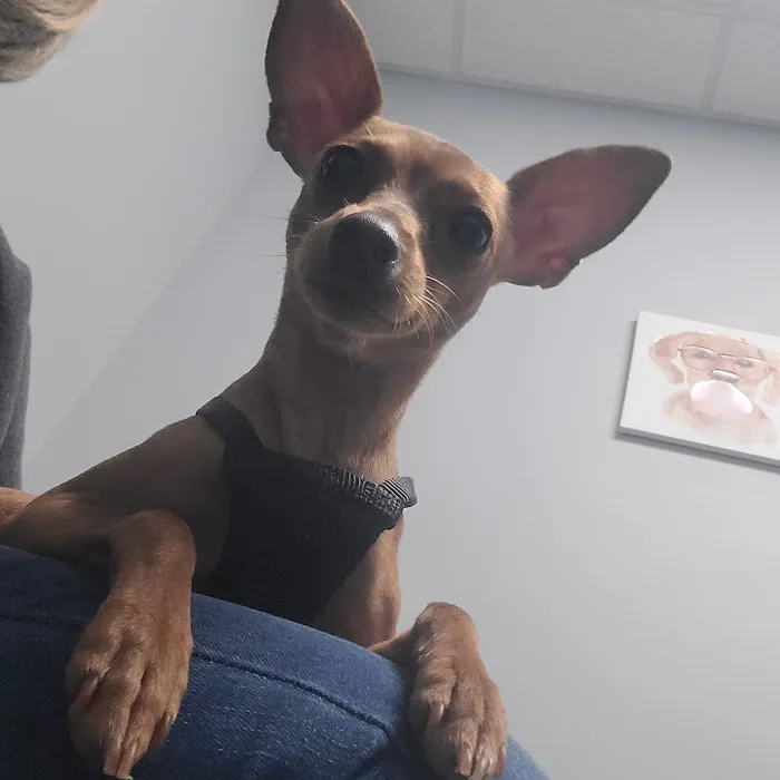 Stonewater Veterinary Hospital 12