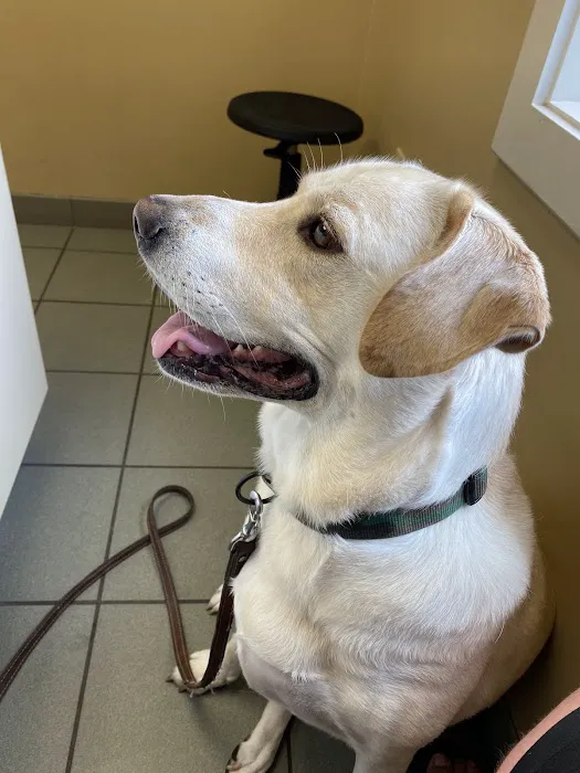 Willowrun Veterinary Hospital 12