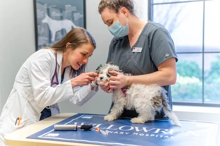 Willowrun Veterinary Hospital 12