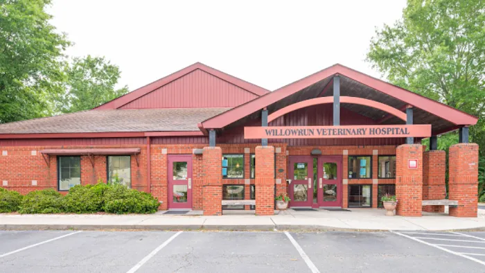 Willowrun Veterinary Hospital 12