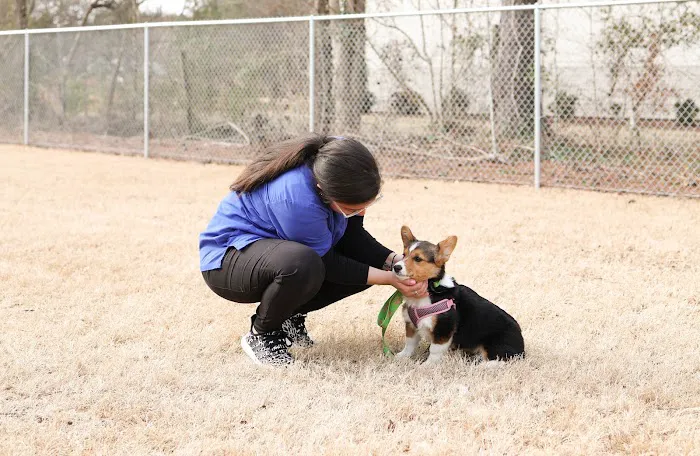 Johnston Animal Hospital 12