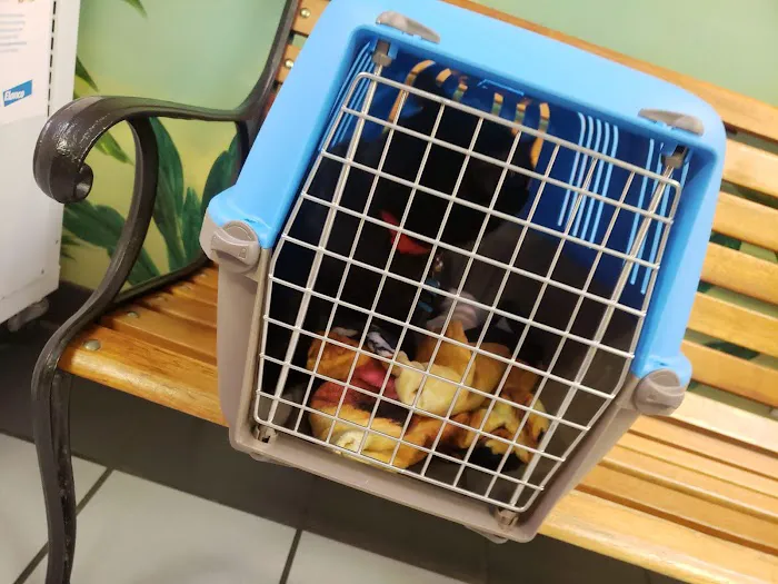 For Pets Sake Animal Hospital 12