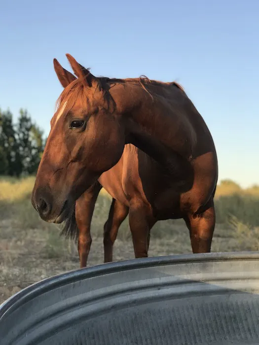 Rocky Mountain Veterinary 2