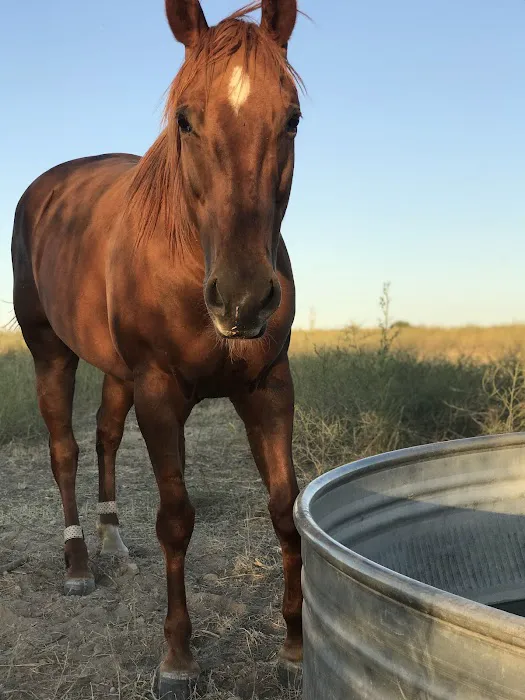 Rocky Mountain Veterinary 3