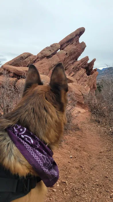 Rocky Mountain Veterinary 7