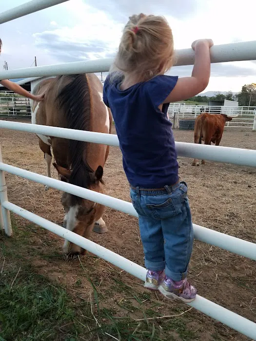 Rocky Mountain Veterinary 5