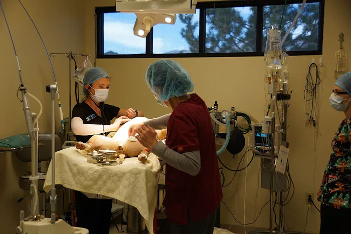Centennial Animal Hospital 12
