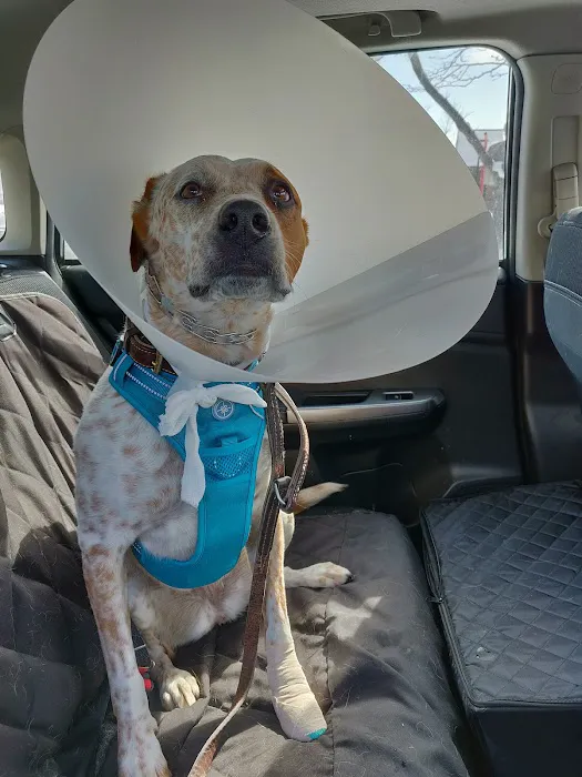 Centennial Animal Hospital 12