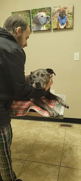 Main Street Animal Clinic 12