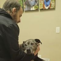 Main Street Animal Clinic ico