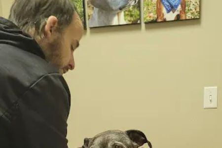 Main Street Animal Clinic