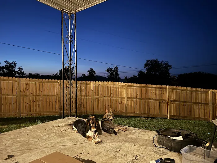 Rock Vet Animal Hospital 12