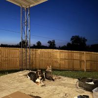 Rock Vet Animal Hospital ico