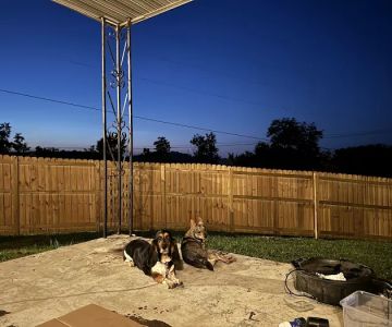 Rock Vet Animal Hospital