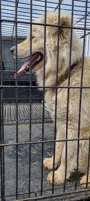 Rockcastle Veterinary Clinic 12