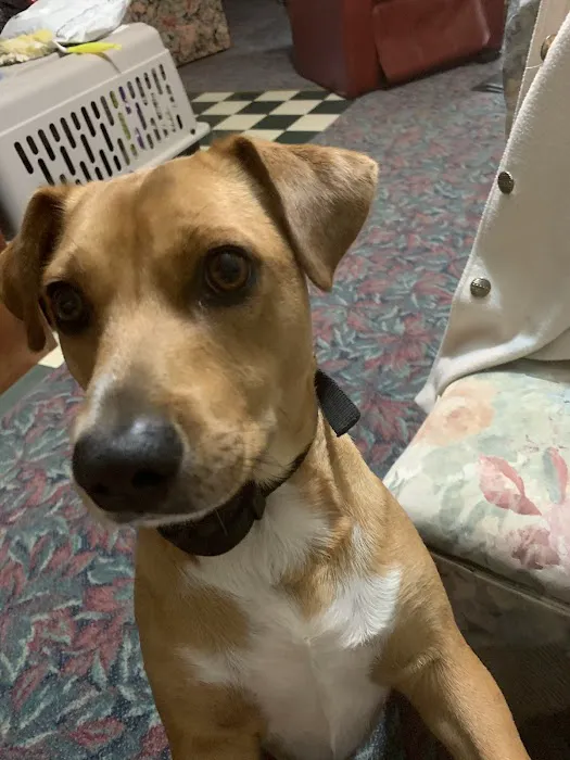 Rockcastle Veterinary Clinic 12