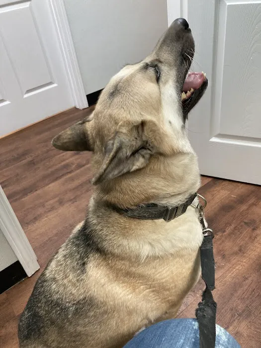 Mt. Vernon Animal Clinic 6