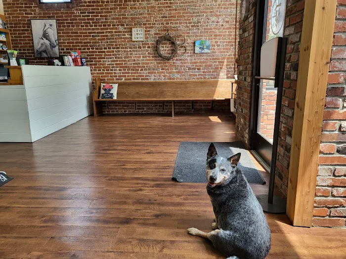 Mt. Vernon Animal Clinic 5