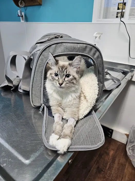 Mt. Vernon Animal Clinic 7