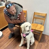 Mt. Vernon Animal Clinic ico