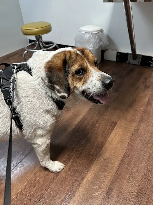 Mt. Vernon Animal Clinic 2