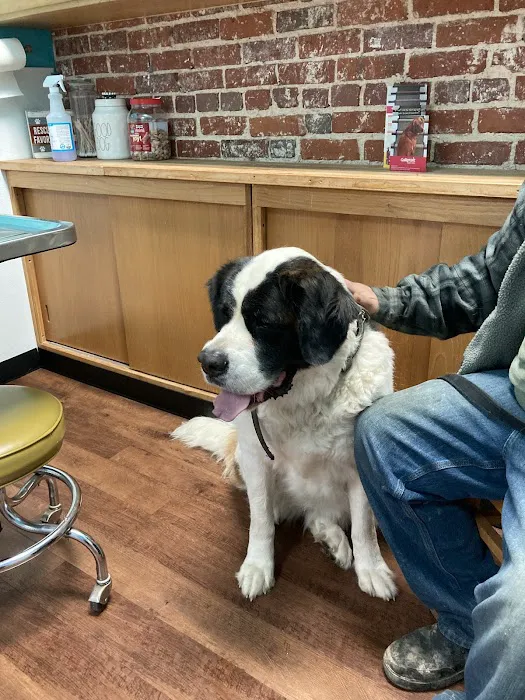 Mt. Vernon Animal Clinic 10