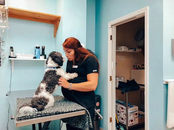 Advanced Animal Care Berea 2