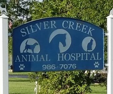 Silver Creek Animal Hospital PLLC