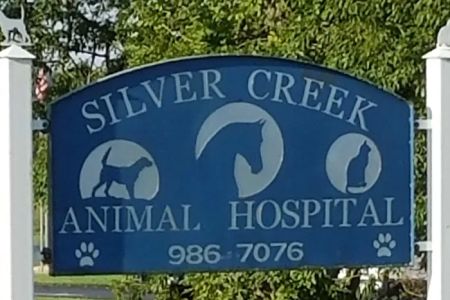 Silver Creek Animal Hospital PLLC