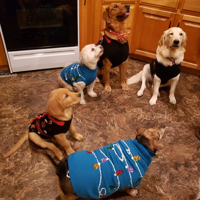 Silver Creek Animal Hospital PLLC 12