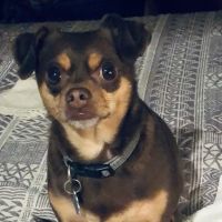 W&W Veterinary Services, PLLC ico
