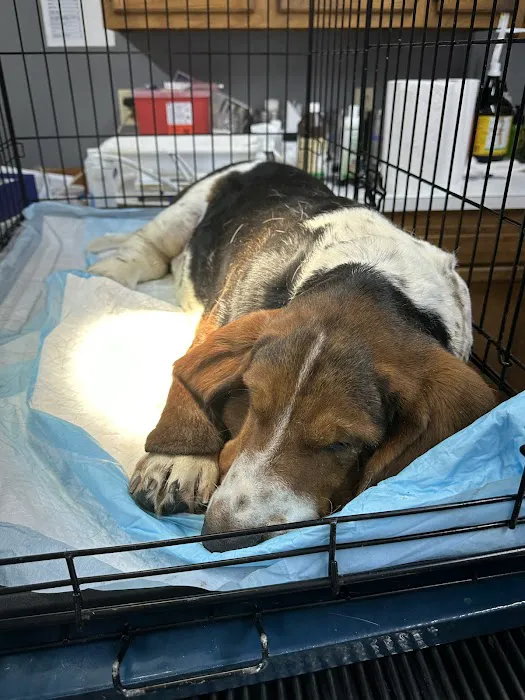 Minter & Moore Veterinary Clinic 7