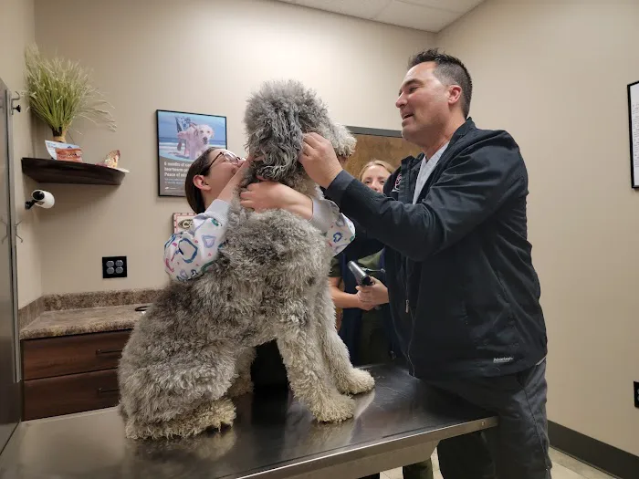 Richmond Veterinary Clinic 12