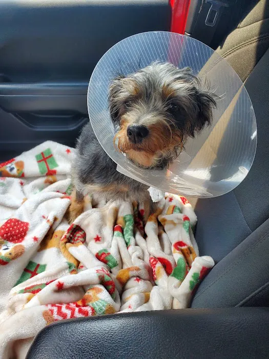 Richmond Veterinary Clinic 12