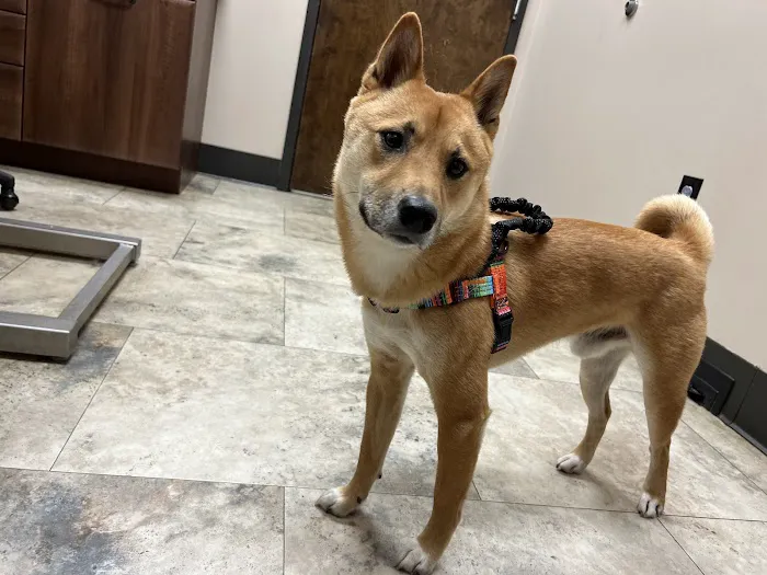 Richmond Veterinary Clinic 12