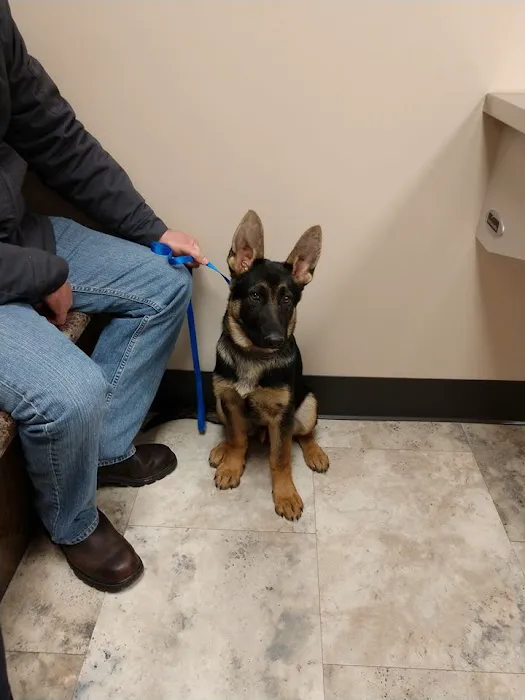 Richmond Veterinary Clinic 12