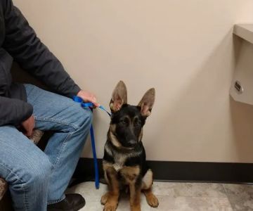 Richmond Veterinary Clinic
