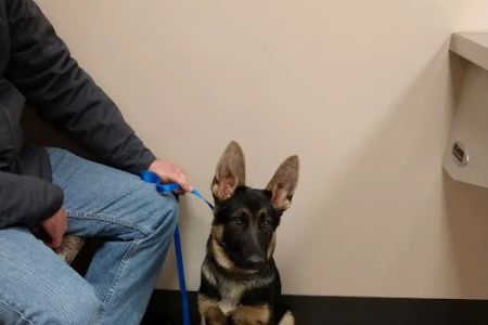 Richmond Veterinary Clinic
