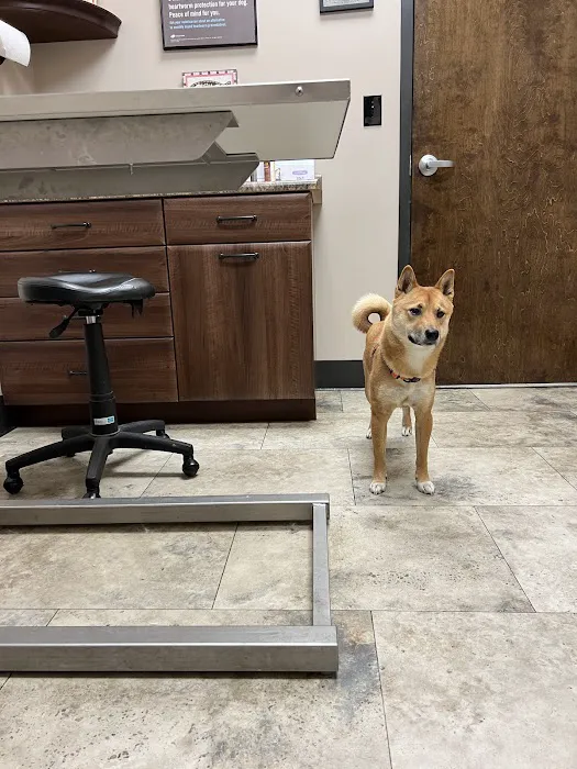Richmond Veterinary Clinic 12