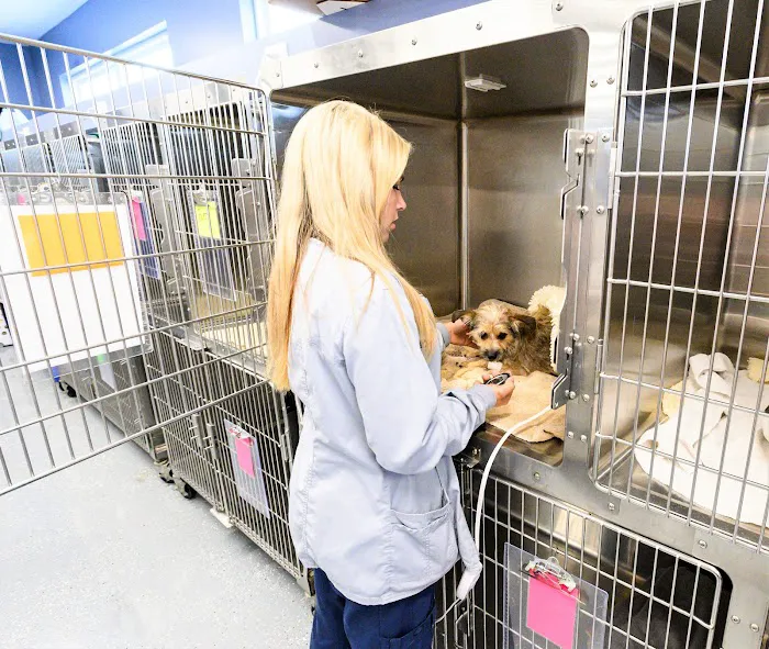 Skipworth Veterinary Clinic 12