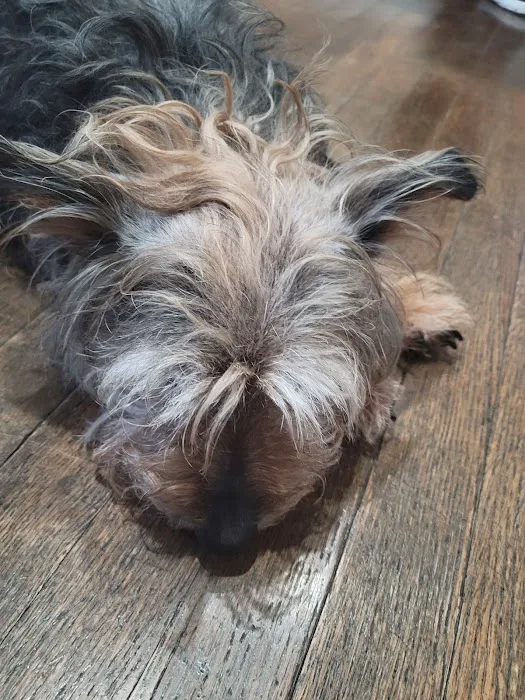 Lewis Veterinary Practice 12