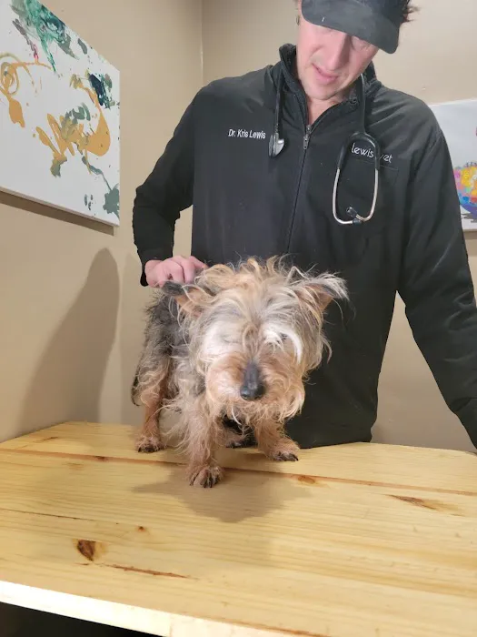 Lewis Veterinary Practice 12