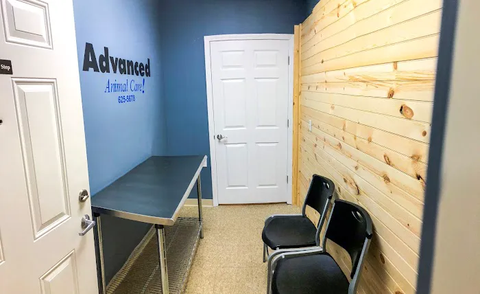 Advanced Animal Care Emergency 12