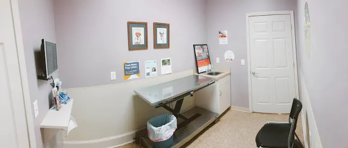 Advanced Animal Care Emergency 12